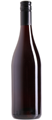 Syrah 
